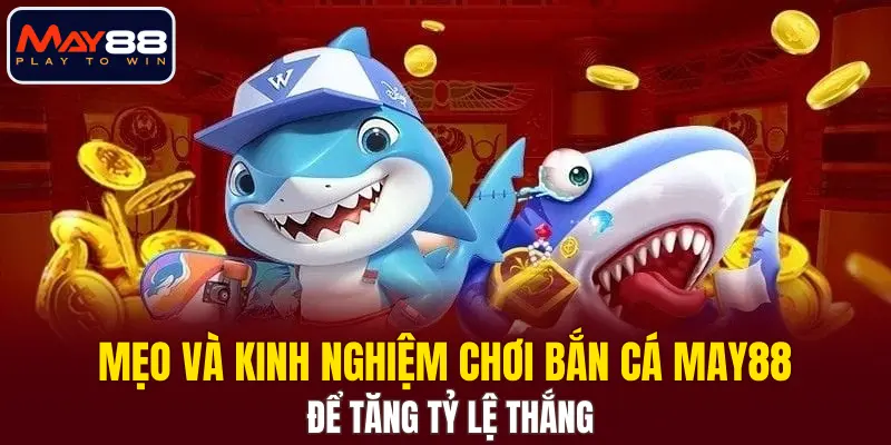Mẹo và kinh nghiệm chơi bắn cá MAY88 để tăng tỷ lệ thắng
